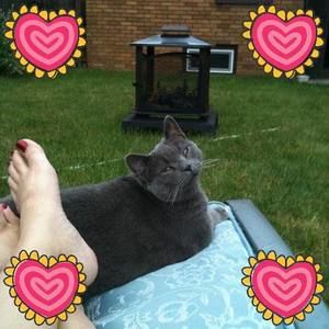 Meet your Posher, Heidi